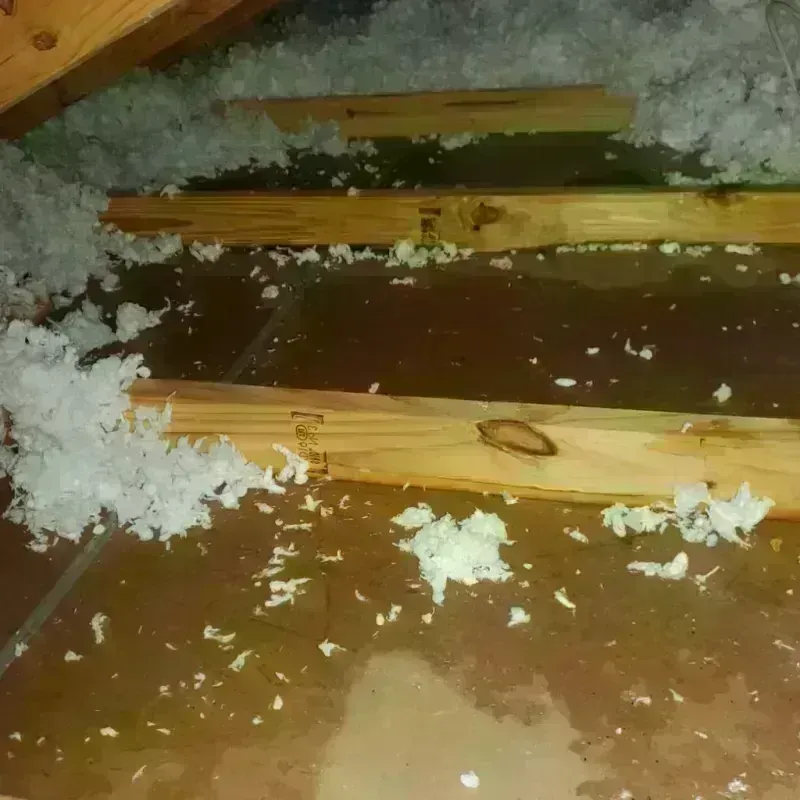 Attic Water Damage in Worthington, MN