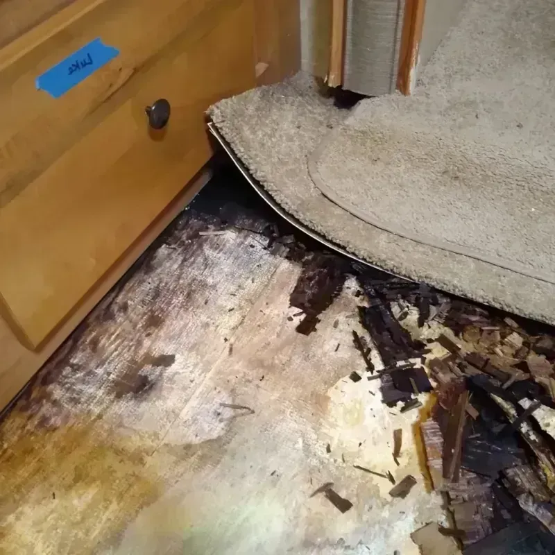 Wood Floor Water Damage in Worthington, MN